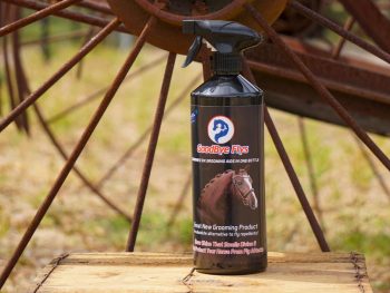 Goodbye Flys Show Shine